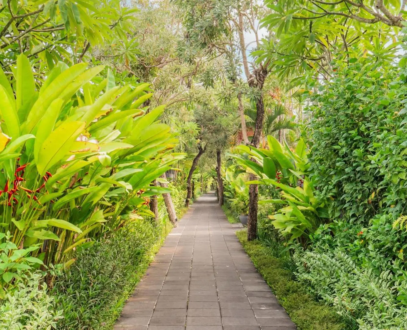 Javana Royal Villas Seminyak   Seminyak (Bali)
